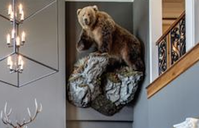 Illustration for article titled There's a Giant Taxidermied Bear in Kelly Clarkson's Living Room